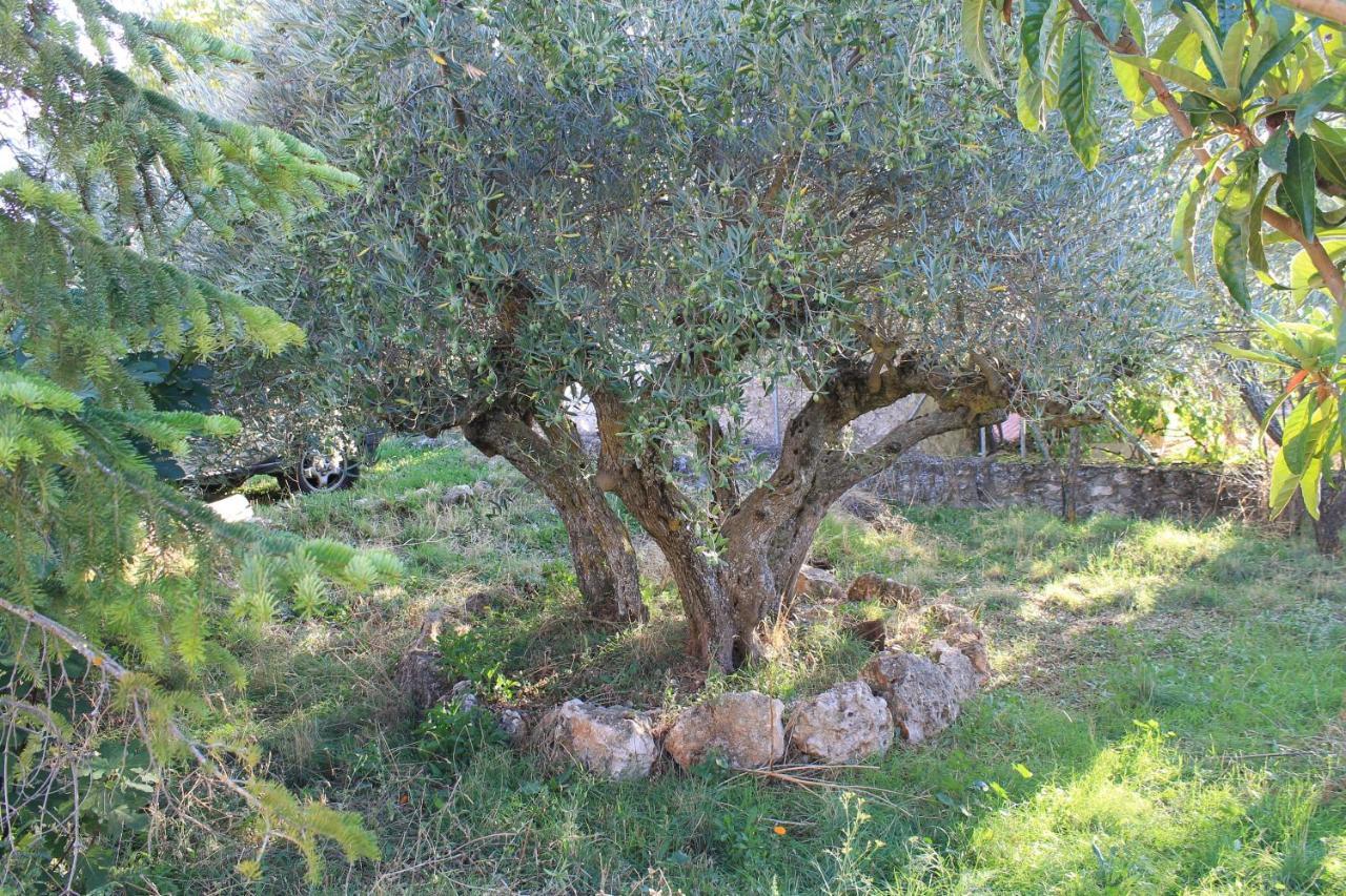 Casa Rural Baobab Romancos 外观 照片