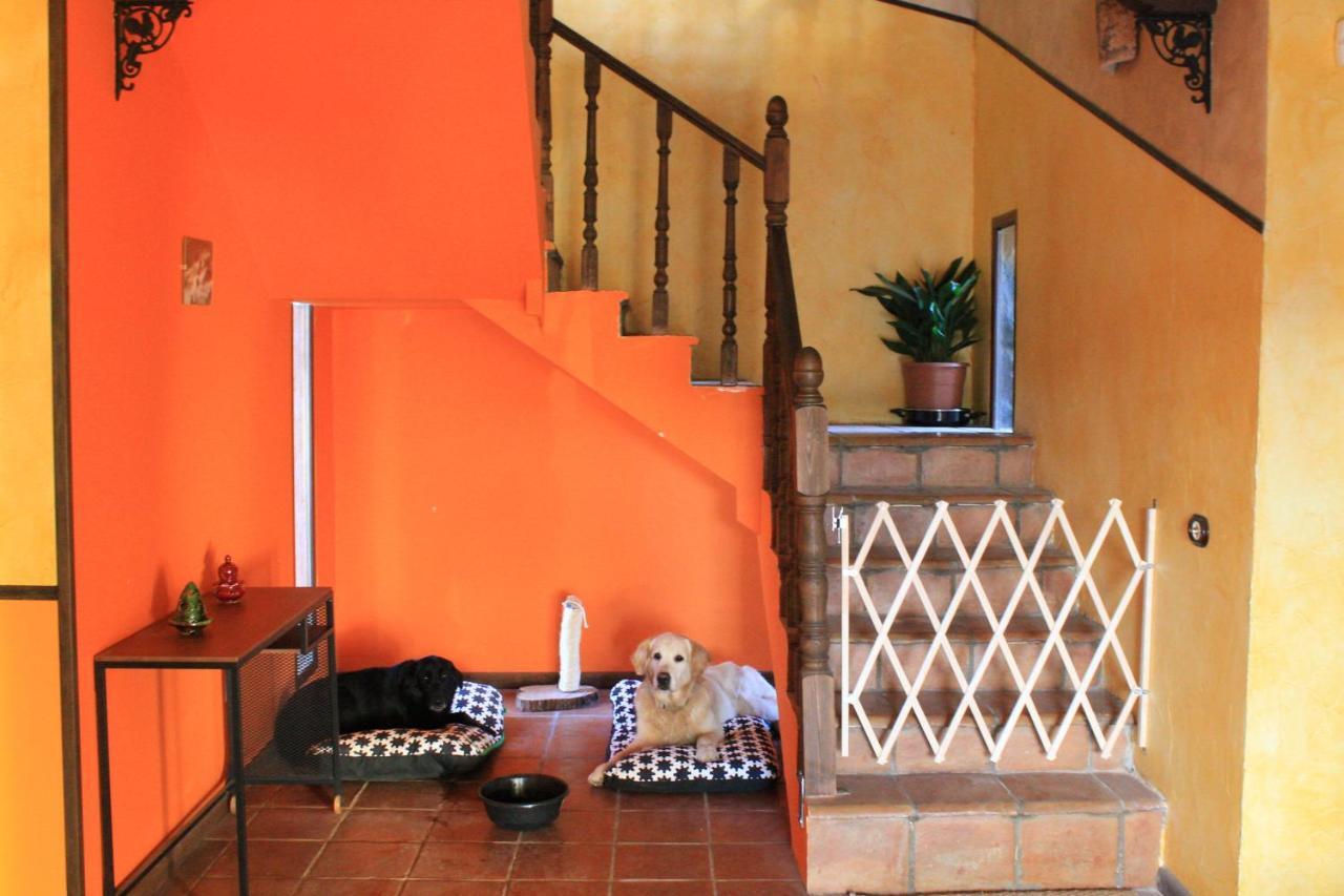 Casa Rural Baobab Romancos 外观 照片